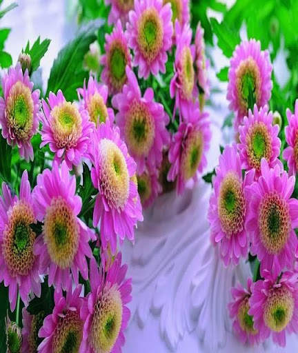أجمل صور الطبيعة الخلابة HD screenshot 4
