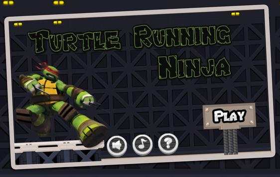 Turtle Running Ninja screenshot 1