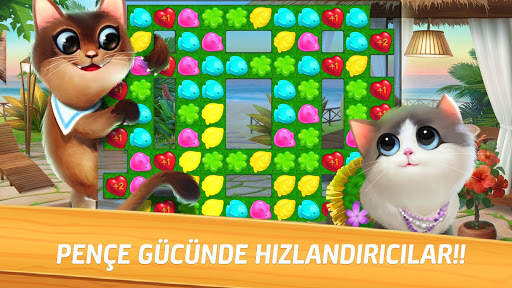 Miyav Eşleştirme screenshot 10