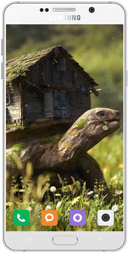 Turtle Wallpaper HD screenshot 10