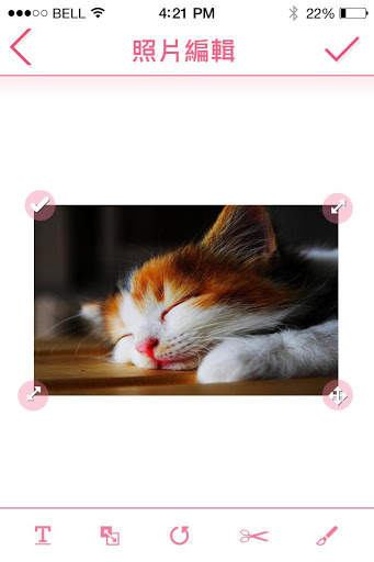 WONDER PHOTO screenshot 6
