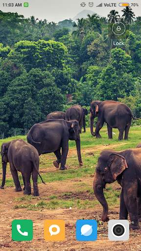 Elephant Wallpaper screenshot 12