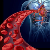 Cardiac health icon