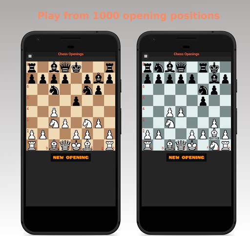 Free Chess screenshot 5