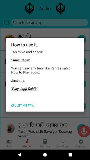 Nitnem (ਨਿਤਨੇਮ) - Sundar Gutka screenshot 2