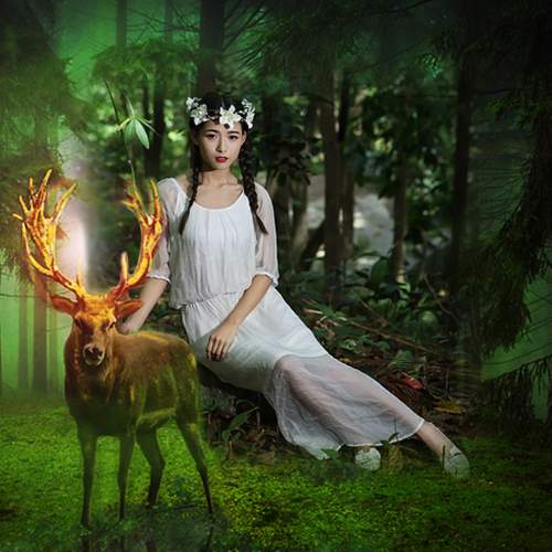 Wild Animal Photo Editor 2 تصوير الشاشة