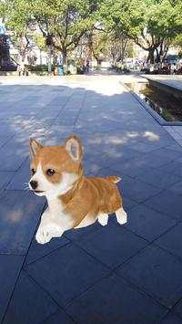 AR Puppy Camera screenshot 2
