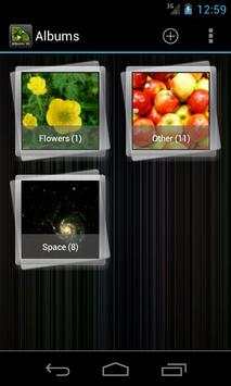 GT Photo Albums 3D screenshot 7