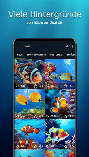 Hintergrundbilder mit Fisch 4K screenshot 2