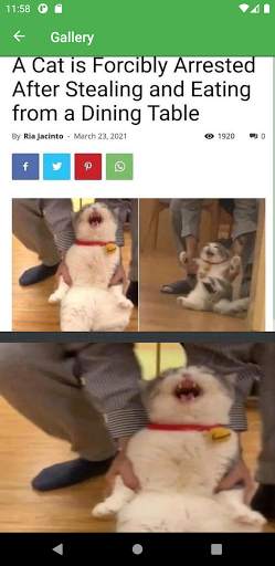 Imgur Browser screenshot 4