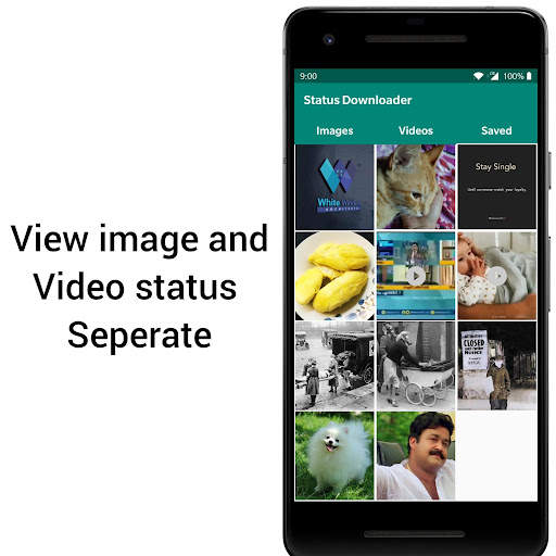Status Downloader for WhatsApp (AD-Free) screenshot 5