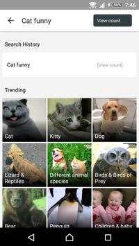 ShuffleTube for YouTube free screenshot 2