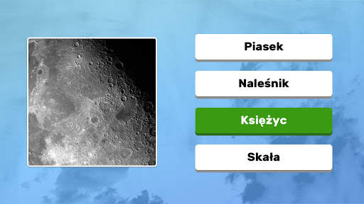Zoom Quiz: Gra Zdjęciowa screenshot 6