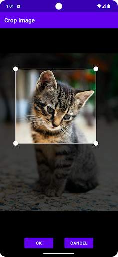Search By Image screenshot 2