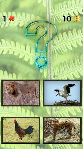 ZOO sounds quiz screenshot 4