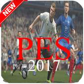 Guide for PES 2017 1.0