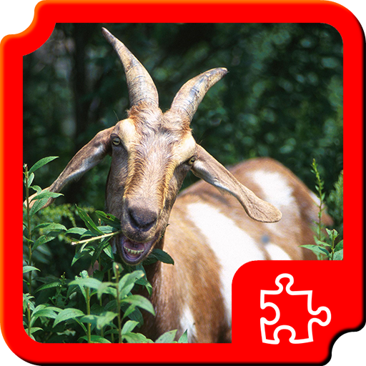 Farm Puzzles icon