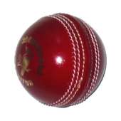 Auntie Cricket logo