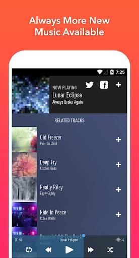 SongFlip Music Streamer Player screenshot 8