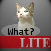 Talkicat Lite 1.4.1