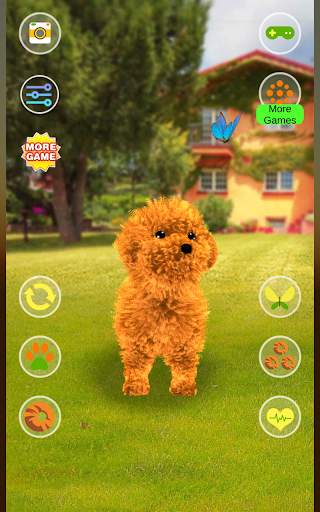 Talking Teddy Dog screenshot 6