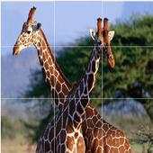 Jerapah - Puzzle Hewan 1.0