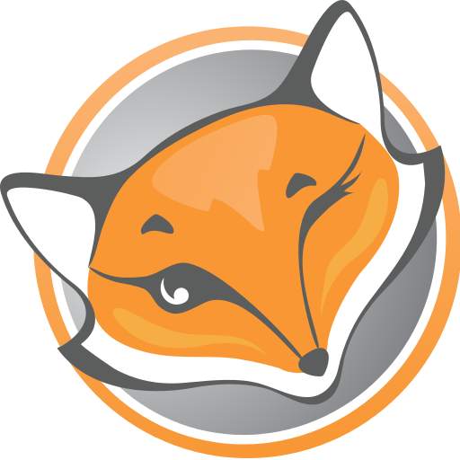 FoxyProxy VPN 1.3