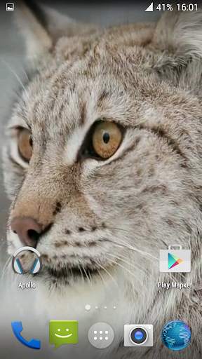Lynx. Video Wallpaper स्क्रीनशॉट 2
