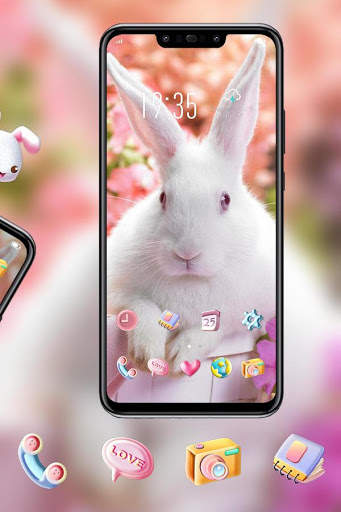 Flower And White Rabbit Have A Spirit theme screenshot 3