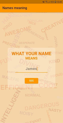 Names Meaning screenshot 1