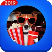 Peliculas y Series 2.8.0
