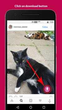 InstaTube - Download Instagram Photo & Video screenshot 6