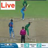 Live Cricket Streaming 1.0
