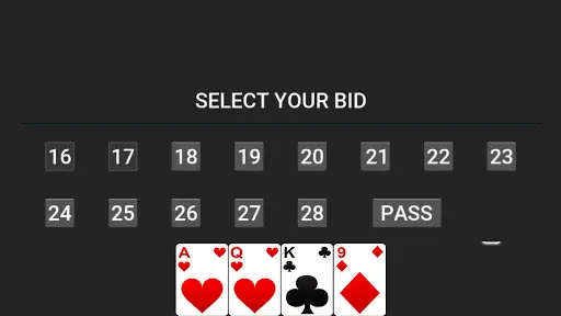 29 Card Game screenshot 2
