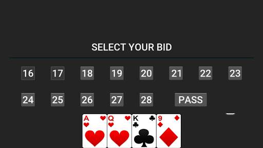 29 Card Game screenshot 2