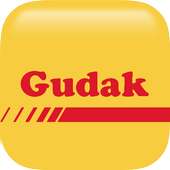 PRO Gudak cam