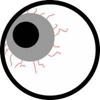 Eyes