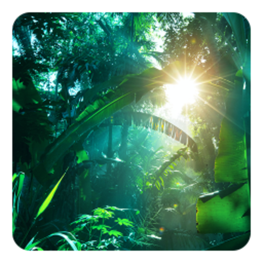 jungle wallpaper icon