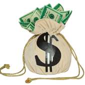Day To Day Earn$