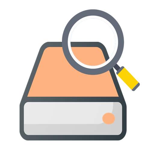 Disk Video Recovery Pro 1.4