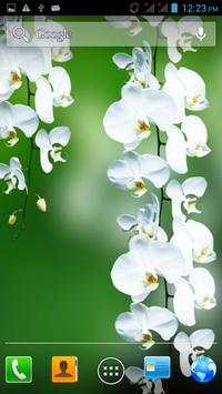 Flowers 3D live wallpaper screenshot 2