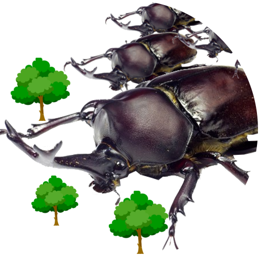 Beetle advance icon