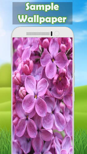 Lilac Wallpaper screenshot 4