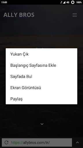 NetRover Web Tarayıcı screenshot 3