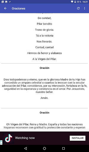 Feliz VIRGEN DEL PILAR 9 تصوير الشاشة