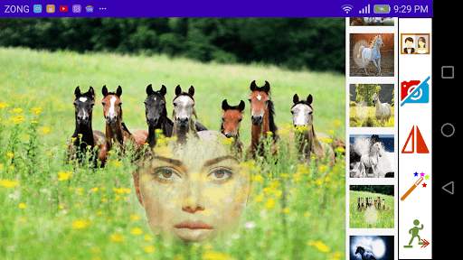 Horse Photo Frames screenshot 4