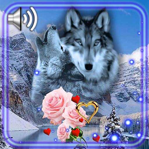 Love Wolf Live Wallpaper 1.2