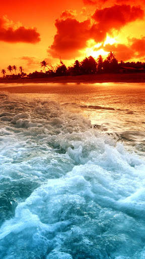 Beach Video Live Wallpaper screenshot 8