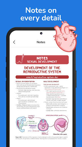 Osmosis Med Videos & Notes screenshot 8