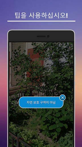 고양이를 찾아라 screenshot 3